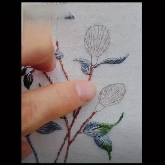 Cherry Bloom